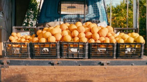 O Tempo De Comer Uma Laranja Bild 4