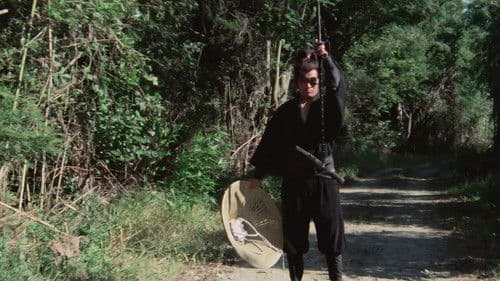 Im Schatten des Shogun Bild 1