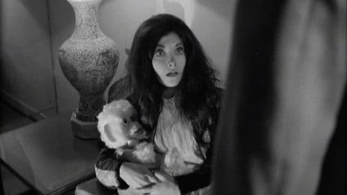 Confessions of a Psycho Cat Bild 1