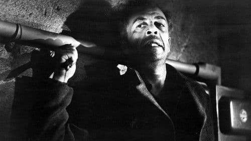 Die tätowierte Fremde Bild 1