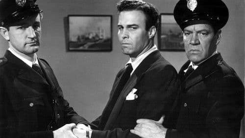 The Sun Sets at Dawn Bild 3