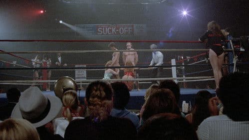 Stiff Competition Bild 4