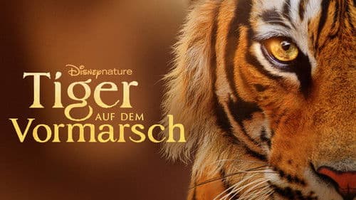 Tiger auf dem Vormarsch Bild 6