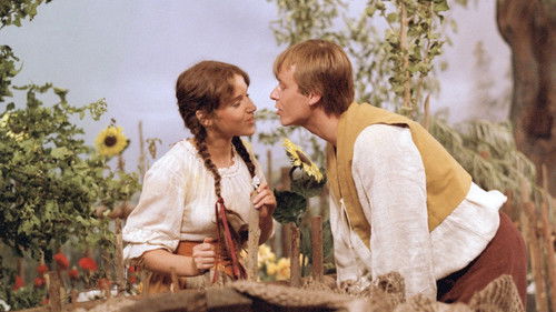 Kmotři z blat Bild 1