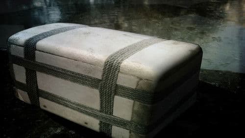 The Whalebone Box Bild 1