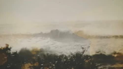 Valdivia 1960, El Gran Terremoto Bild 4