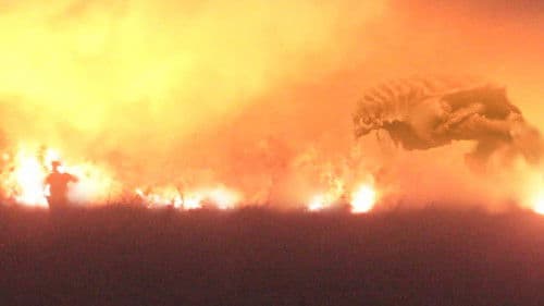 The Barbados Project Bild 1