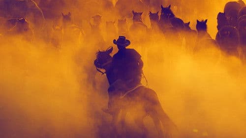 Out Where the West Begins Bild 1