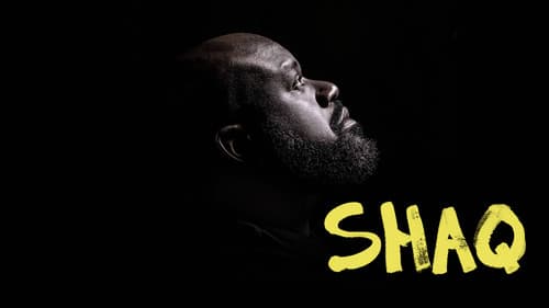 Shaq Bild 3