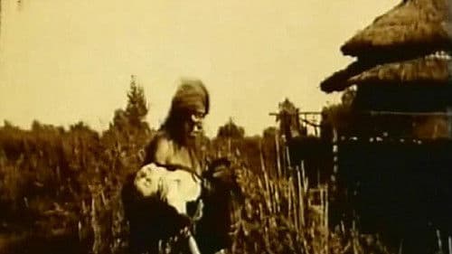 Die Insel der Verschollenen Bild 1