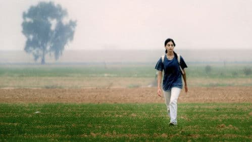 על כלבים ואנשים Bild 2