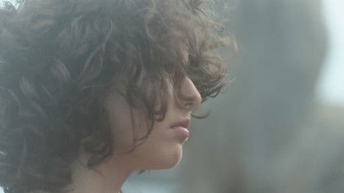 ΠΙΤΥΛΟΣ Bild 4