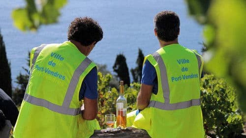 Les Municipaux, ces héros Bild 4