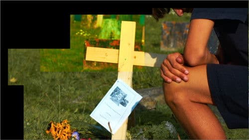 Blocked Together Bild 1