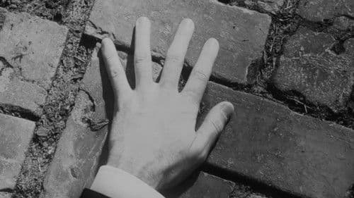 The Garden, the Artist, & the Vampire Bild 1