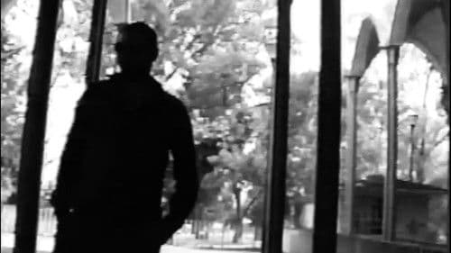 TRANSMUTIS: o de cómo los sueños quebrantan el silencio Bild 1