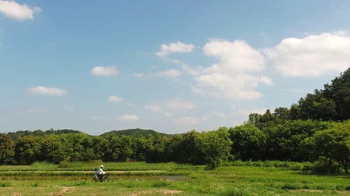 물의 기억 Bild 2