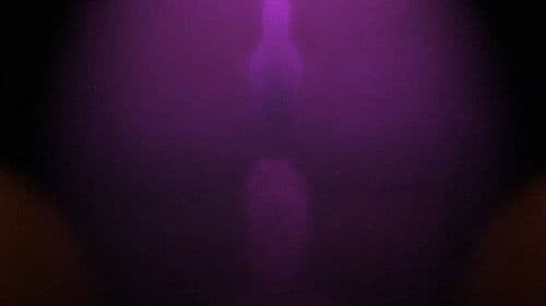 Edgar Allan Poe's The Raven Bild 5