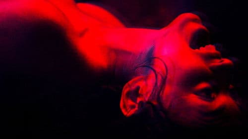 We Are The Flesh Bild 3