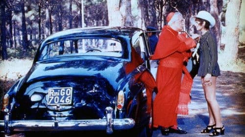 Das Pferd kam ohne Socken Bild 1