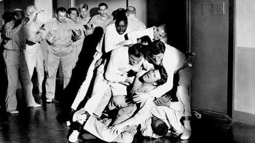 Schock-Korridor Bild 8