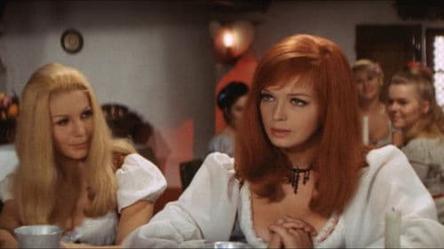 Frau Wirtin bläst auch gern Trompete Bild 2