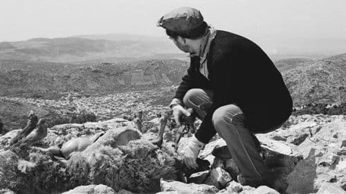 Οι Βοσκοί Bild 3