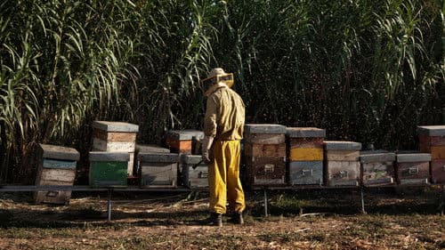 Land der Wunder Bild 7