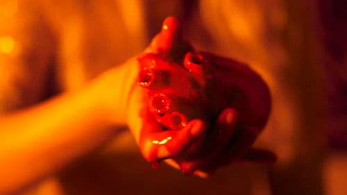 Navidades sin corazón Bild 1