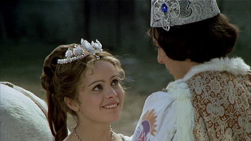 Drei Haselnüsse für Aschenbrödel Bild 8