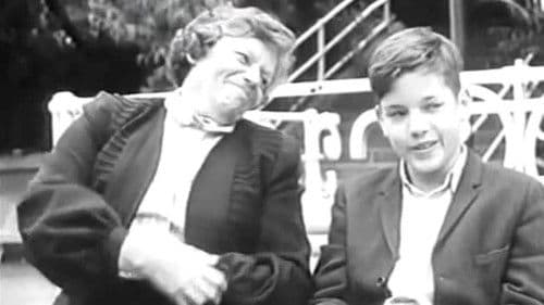 Die Welt in jenem Sommer Bild 2