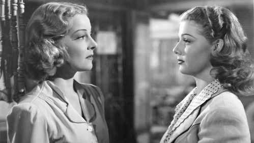 Tropische Zone Bild 4