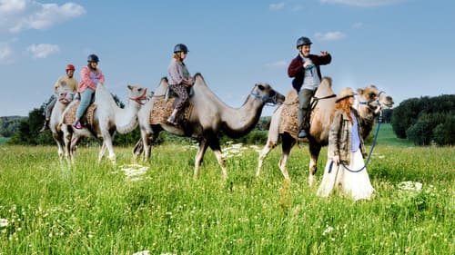 Die Goldfische Bild 1