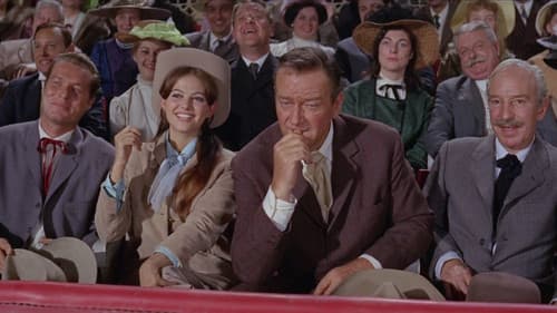 Held der Arena Bild 8