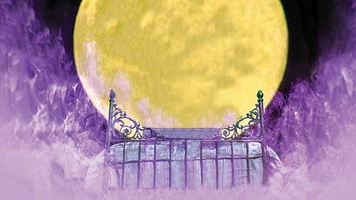 Die Rückkehr der vergessenen Freunde Bild 5