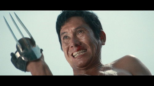 Die Karate-Tiger Bild 7