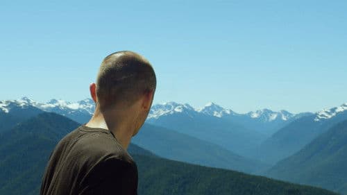 In the Summer Rain Bild 3