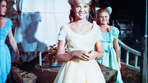 Summer Magic- Ein zauberhafter Sommer Bild 4