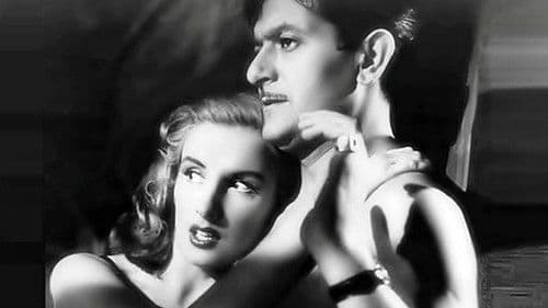 Tren internacional Bild 3