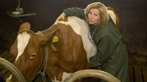 Lehmän vuosi Bild 1