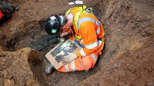 Britain's Biggest Dig Bild 4