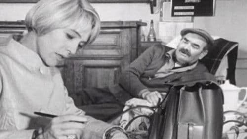 Cécilia, médecin de campagne Bild 1