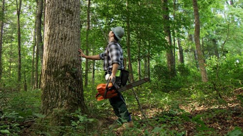 Leap of Faith Bild 1