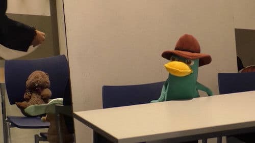 Ornithorynque Royale Bild 1