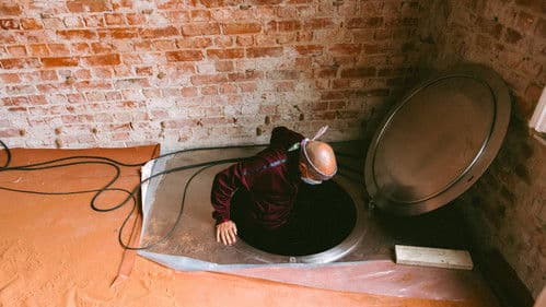 Vegg Vegg Vegg Bild 8