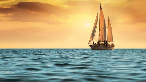 Ein sicherer Hafen Bild 6