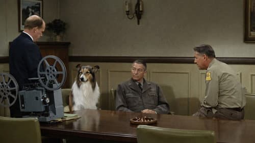 Lassie: Countdown Bild 2