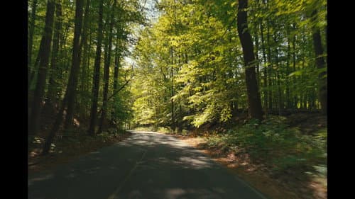 Seeker Bild 7