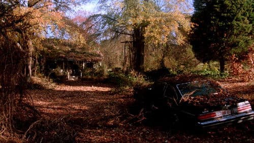 Black Rainbow Bild 6