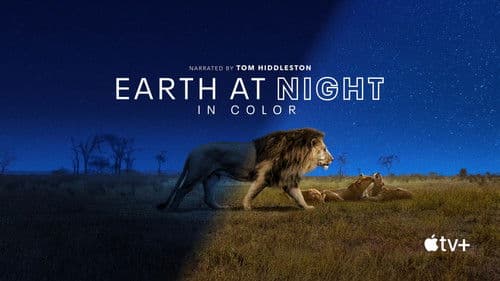 Die Welt in den Farben der Nacht Bild 3